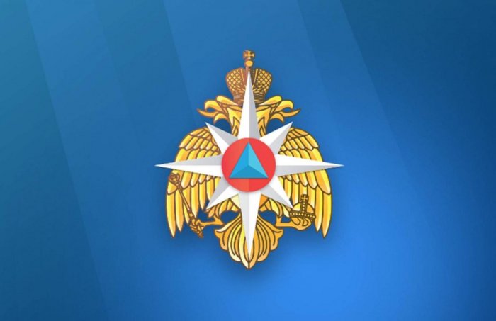 МЧС России выдало бессрочную лицензию на выполнение работ по огнезащите металлоконструкций